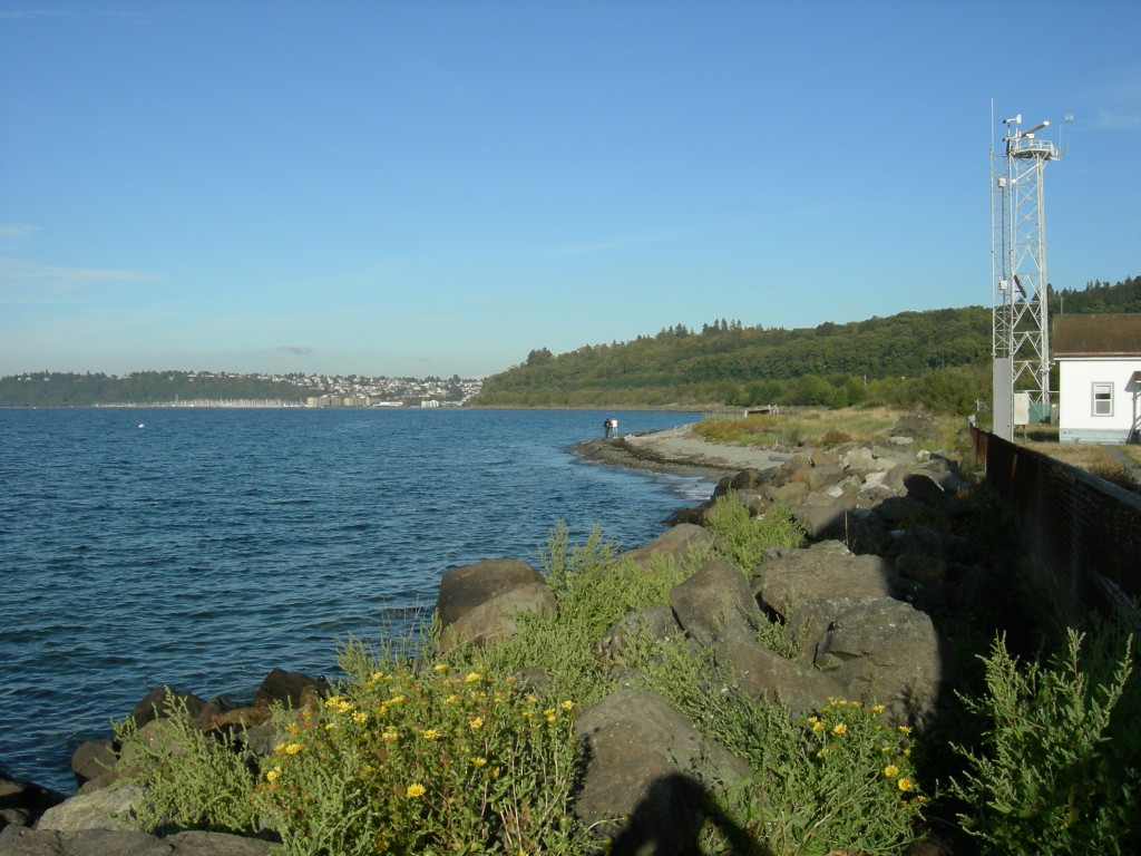 Discovery Park in Seattle