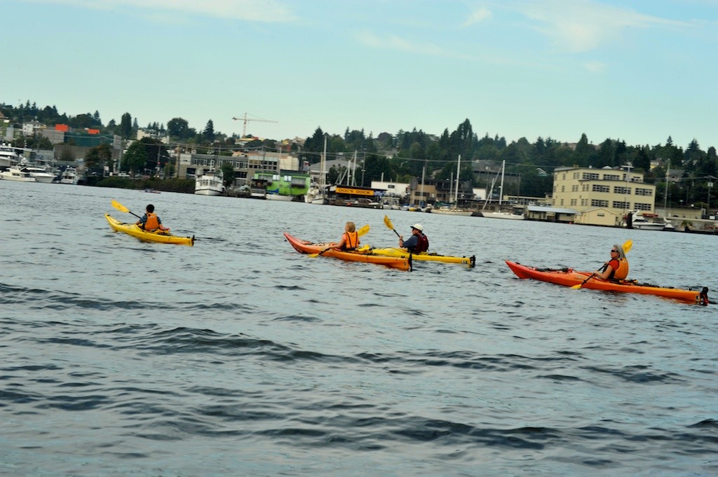 Lake Union Kayak Tour