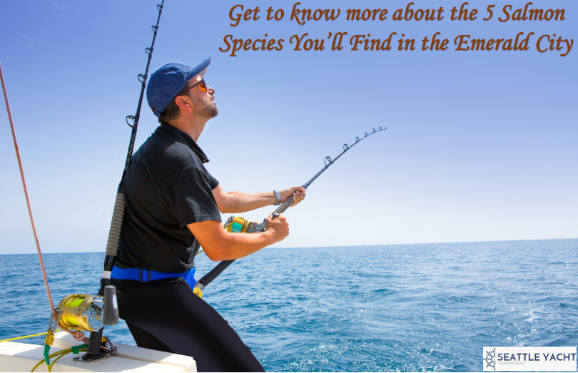 Fishing Charters Seattle